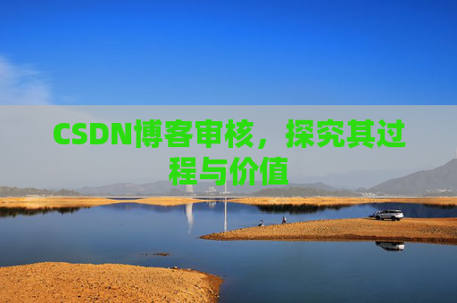 CSDN博客审核,探究其过程与价值