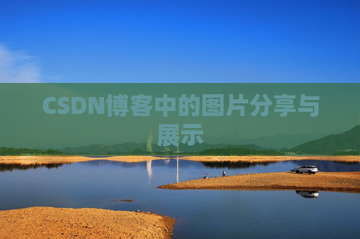 CSDN博客中的图片分享与展示